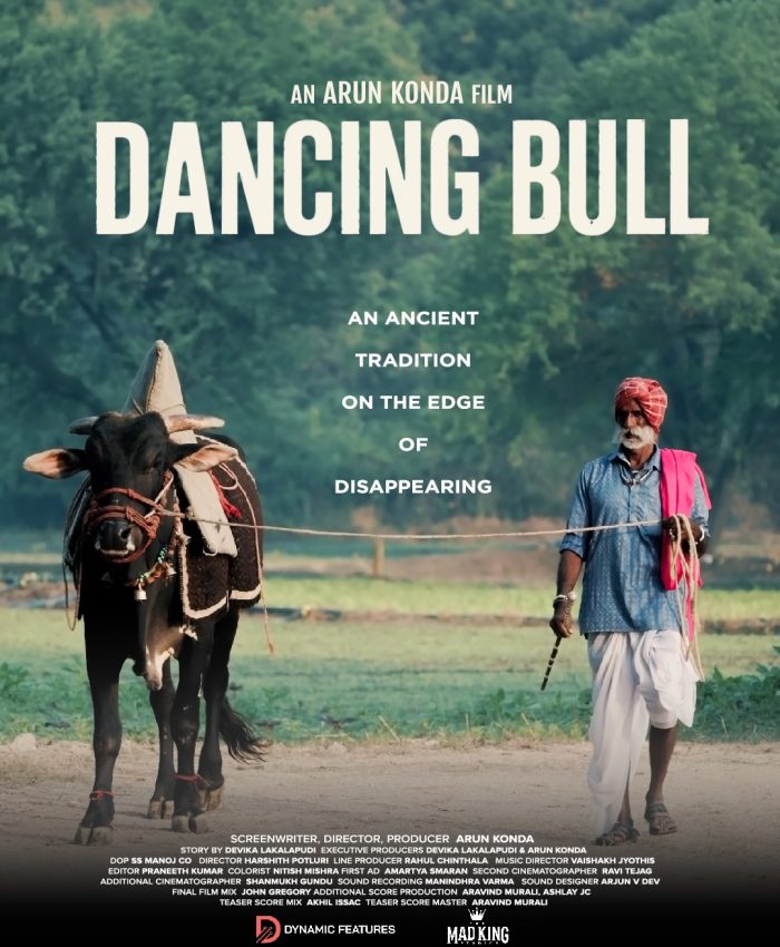 DANCING BULL